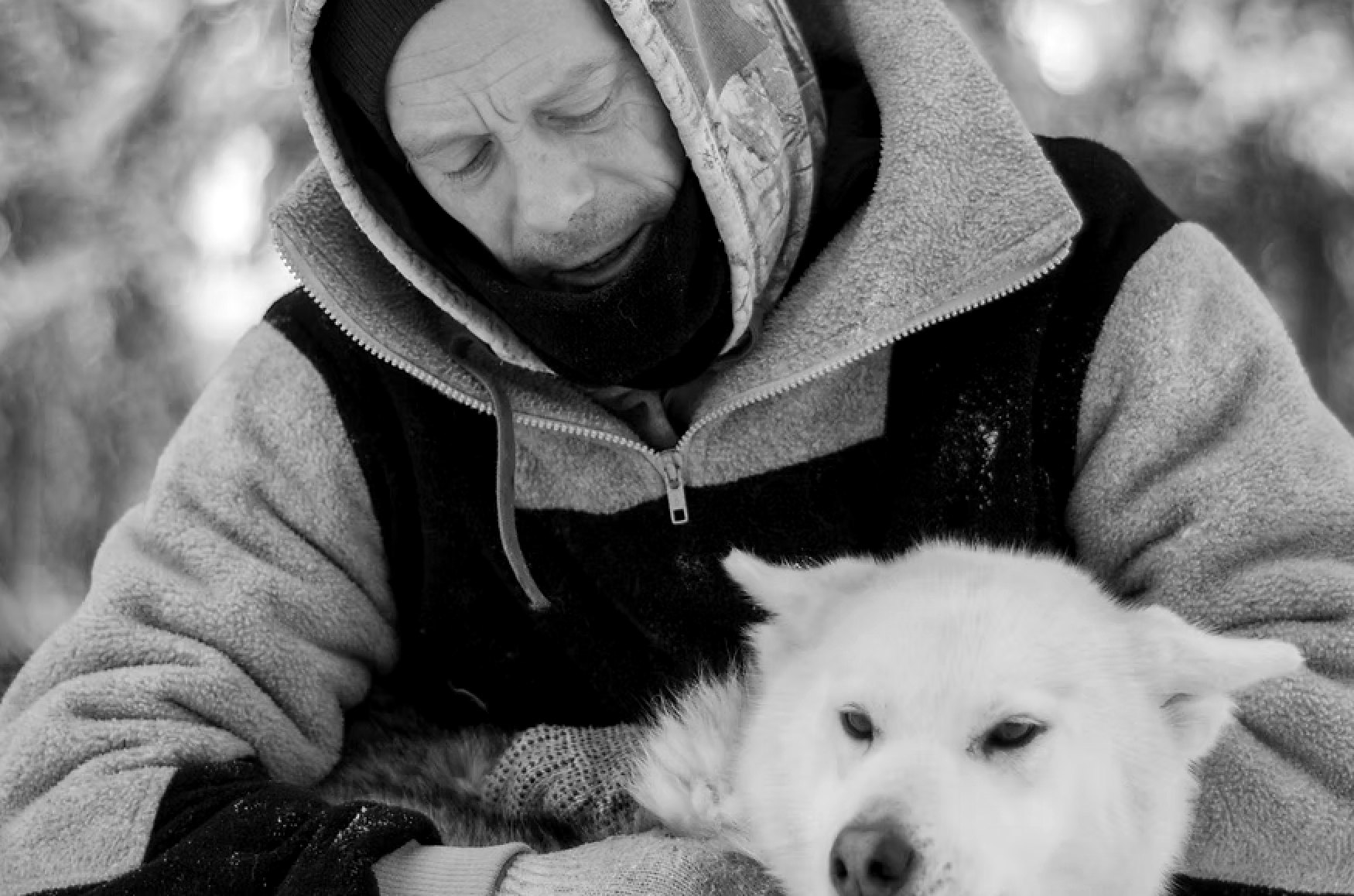 Bertrand avec l’un de ses huskies dans la neige