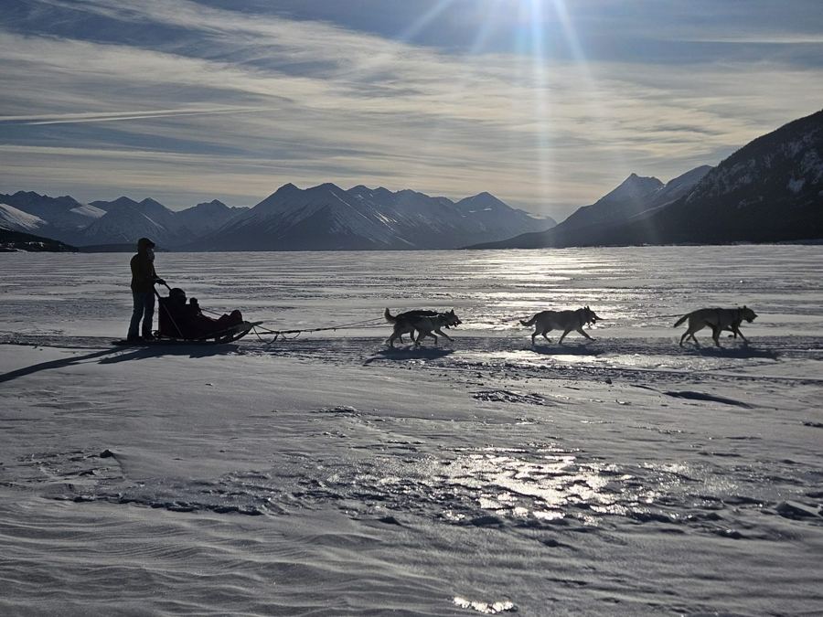 Silhouette d'un attelage sur un lac gelé sous les rayons du soleil