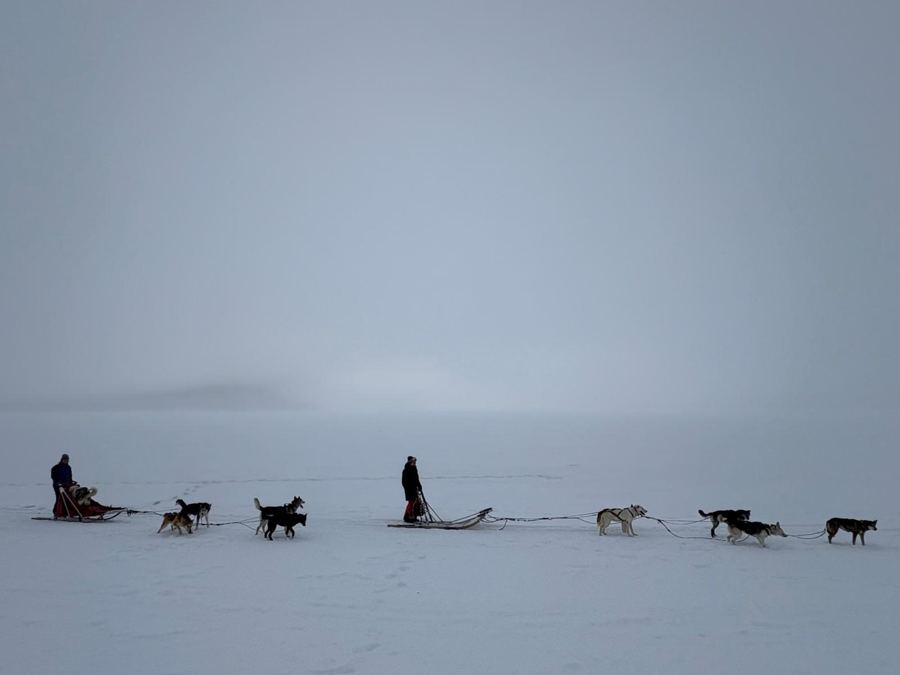 Deux attelages dans le brouillard sur un lac gelé