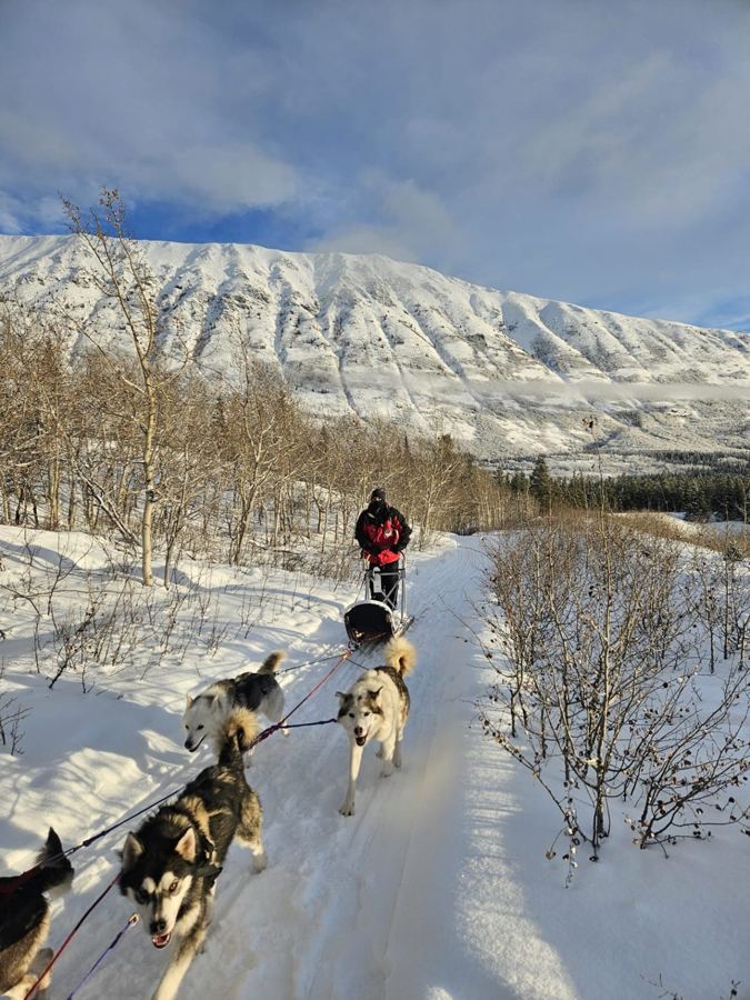 Traîneau à chiens sur une piste au pied d'une montagne enneigée