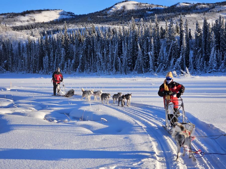 Voyageurs menant leurs attelages devant une forêt givrée