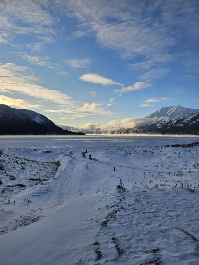 Attelages partant sur un lac gelé dans la brume, à Carcross