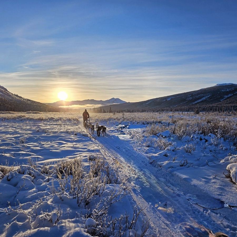 Un musher et son attelage au lever du soleil dans une vallée enneigée