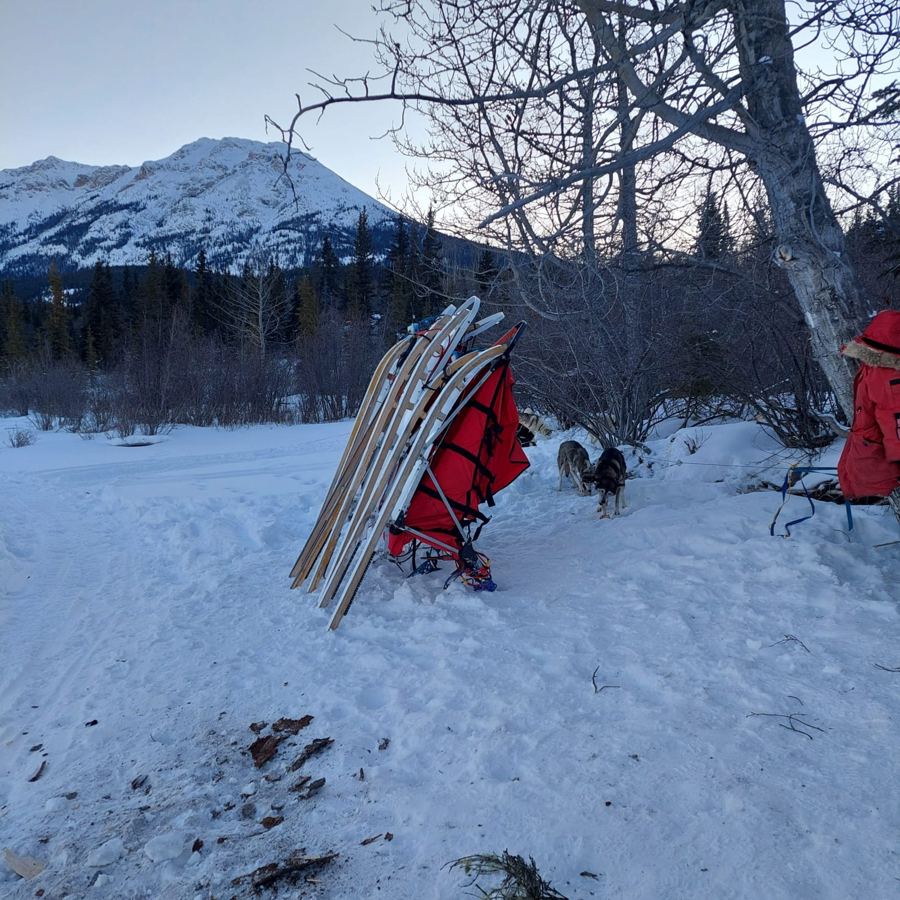 Traîneaux dressés au camp pendant que les huskies se reposent