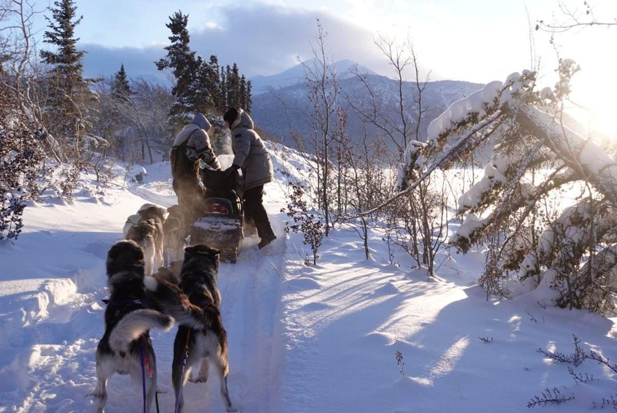 Attelage et motoneige du guide sur une piste ensoleillée en forêt