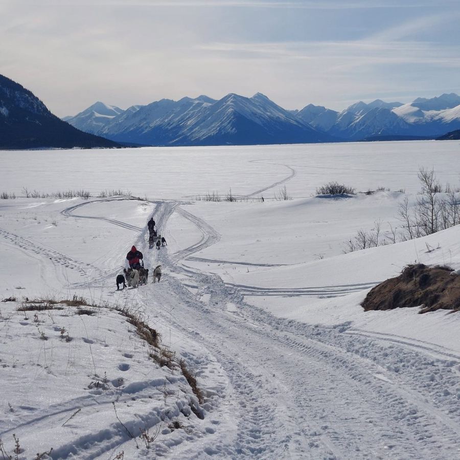 Attelages descendant vers le lac gelé, face aux montagnes