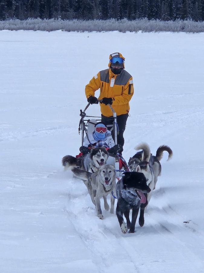 Un enfant assis dans le traîneau derrière des huskies joyeux