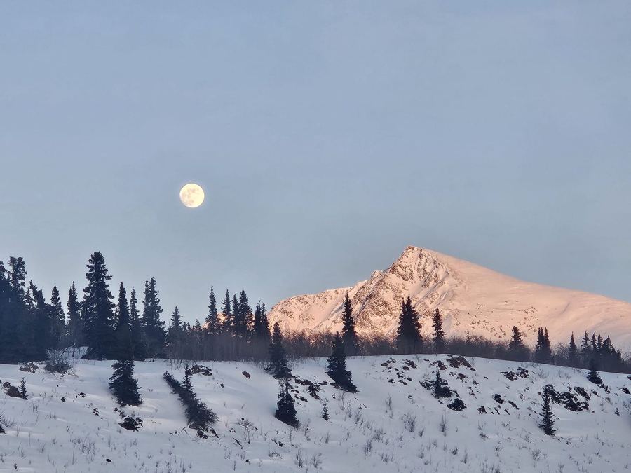 Pleine lune au-dessus d'une montagne rosée près de Carcross