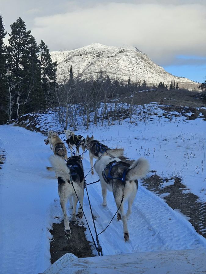 Sortie en buggy sur les premières neiges, au pied de la montagne