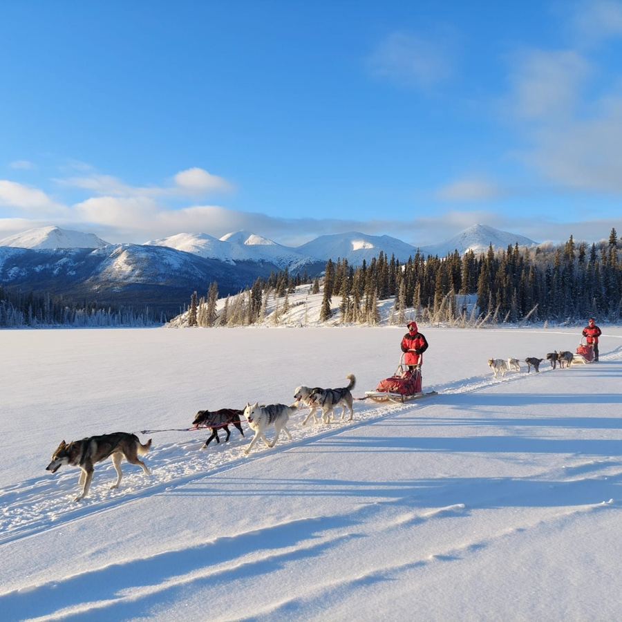 Attelages de huskies sur un lac gelé, sous les sommets enneigés