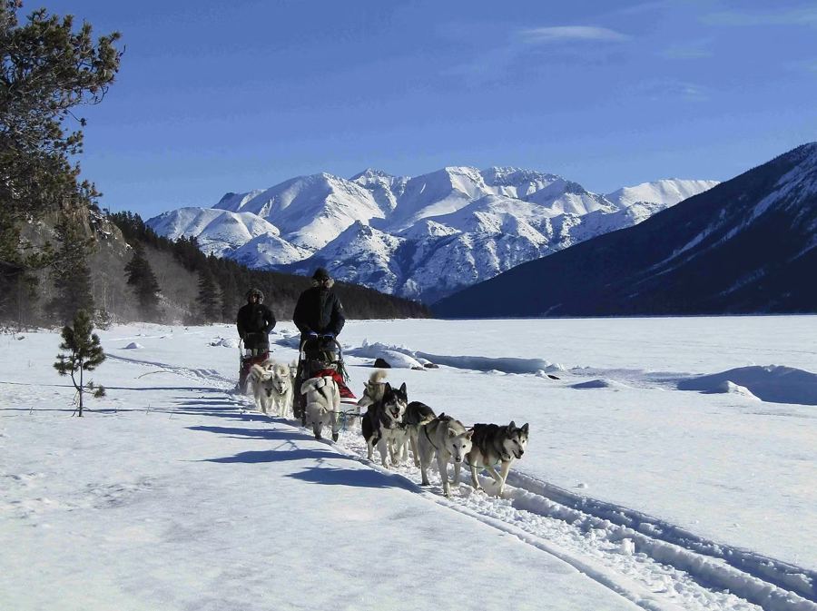 Attelages de huskies le long d'un lac gelé en hiver