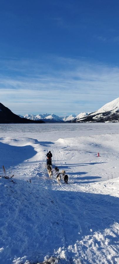 Un musher part sur le lac gelé, face aux montagnes