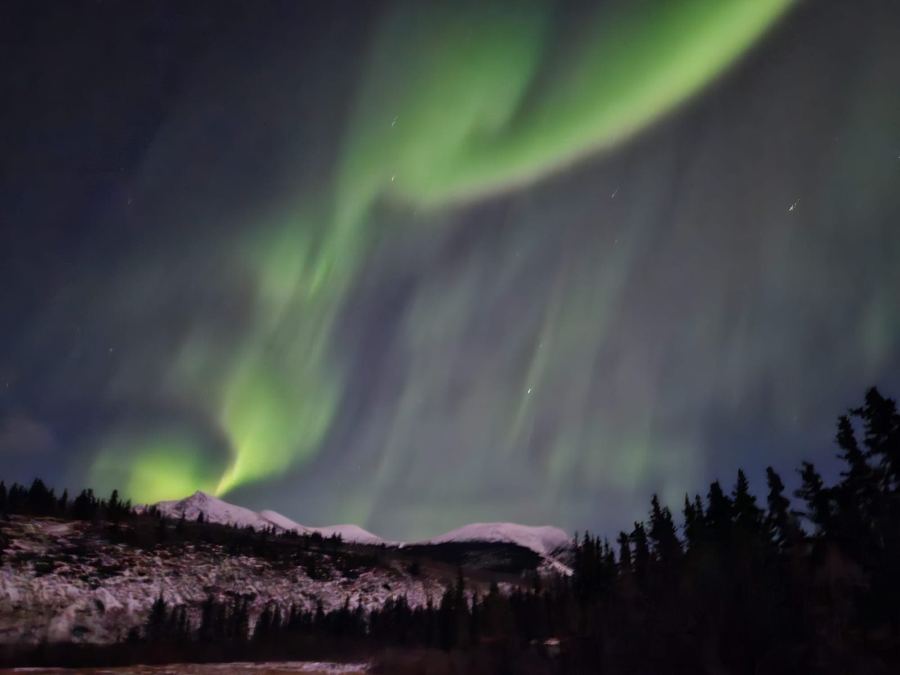 Aurores boréales au-dessus des montagnes enneigées près de Carcross