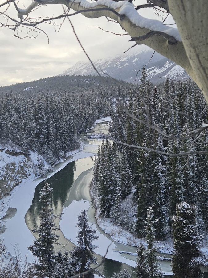 Rivière gelée serpentant dans la forêt enneigée, au pied des montagnes