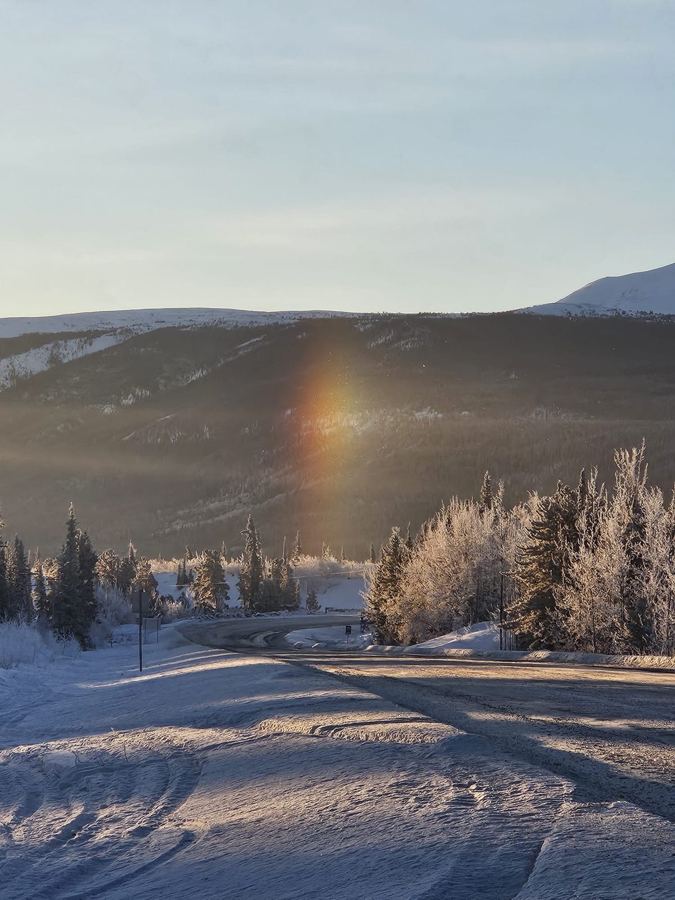Un parhélie au-dessus des arbres givrés, un matin d'hiver près de Carcross