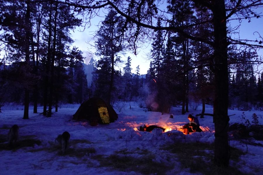 Tente chauffée et feu de camp au crépuscule, camp d'hiver
