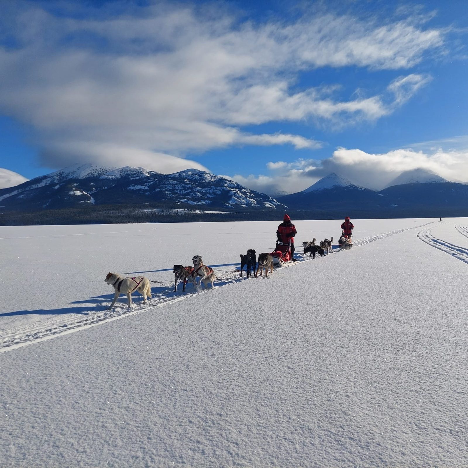 Voyageurs en parkas rouges menant leurs huskies sur un lac gelé