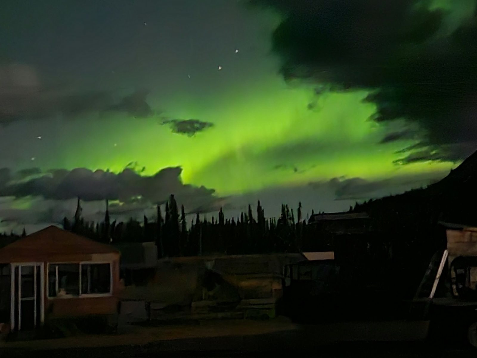 Green northern lights over the kennel and the spruce forest in Carcross, Yukon