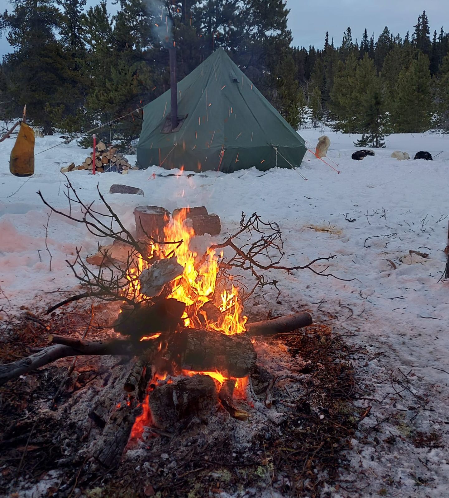 Feu de camp et tente chauffée en pleine nature