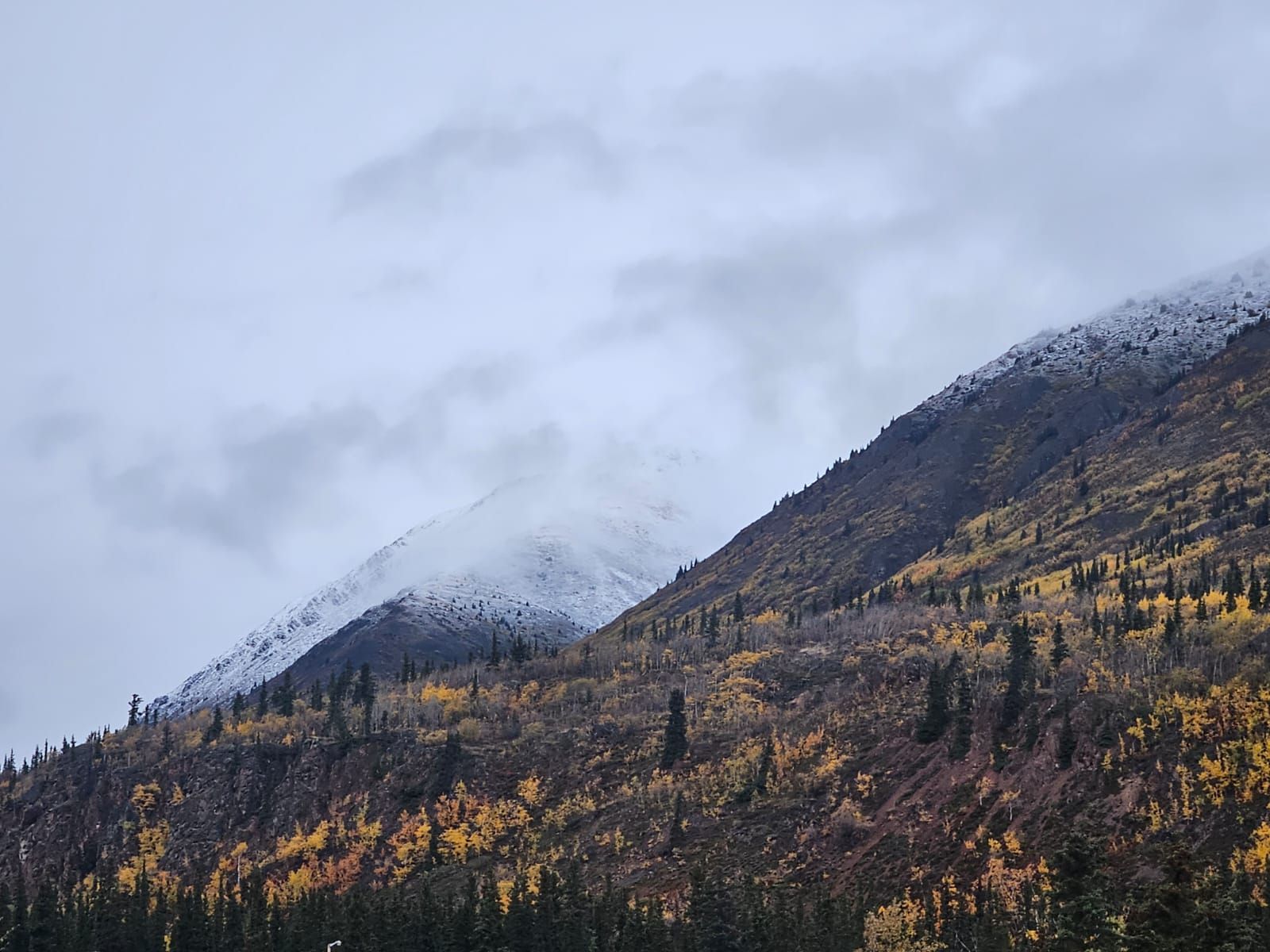 Montagnes du sud du Yukon